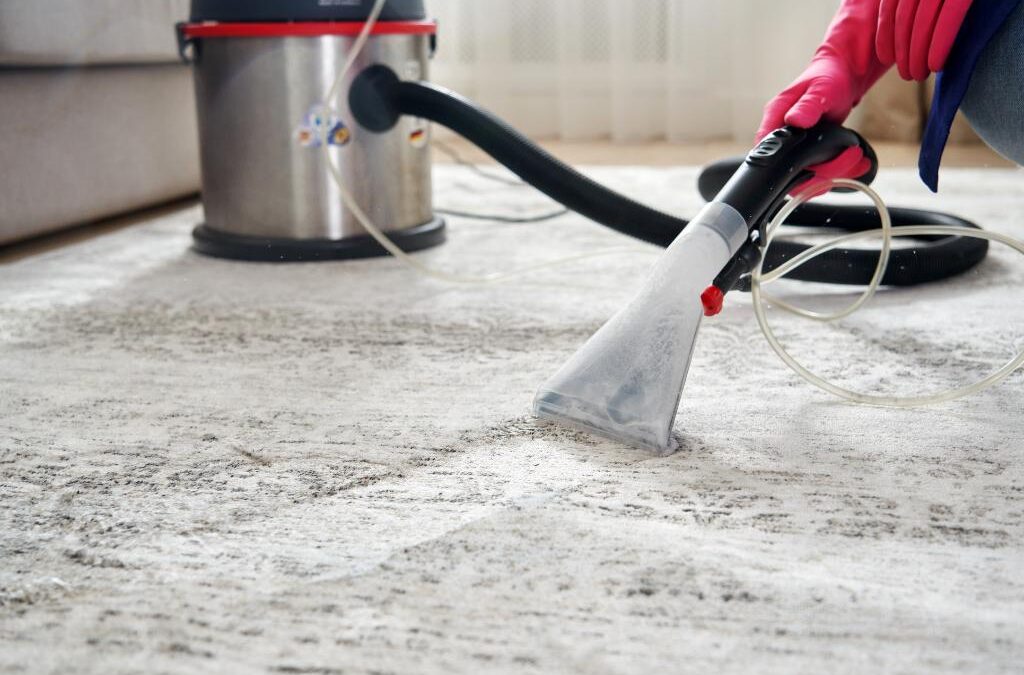 Cleaning, Steaming, and Maintaining Your Carpet